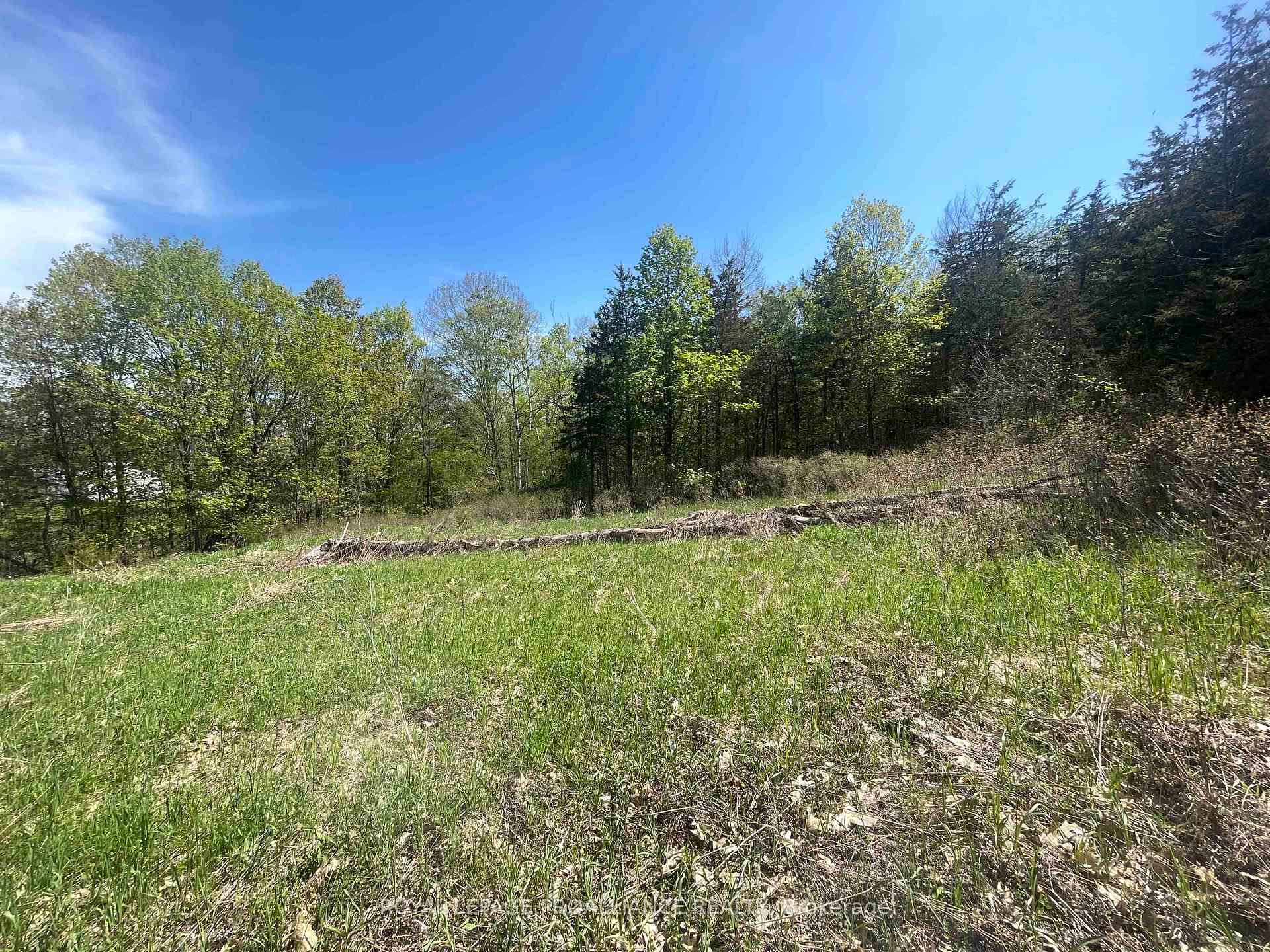 Photo 11 of 430 Beaver Road, Trent Hills, Rural Trent Hills — HOMEH