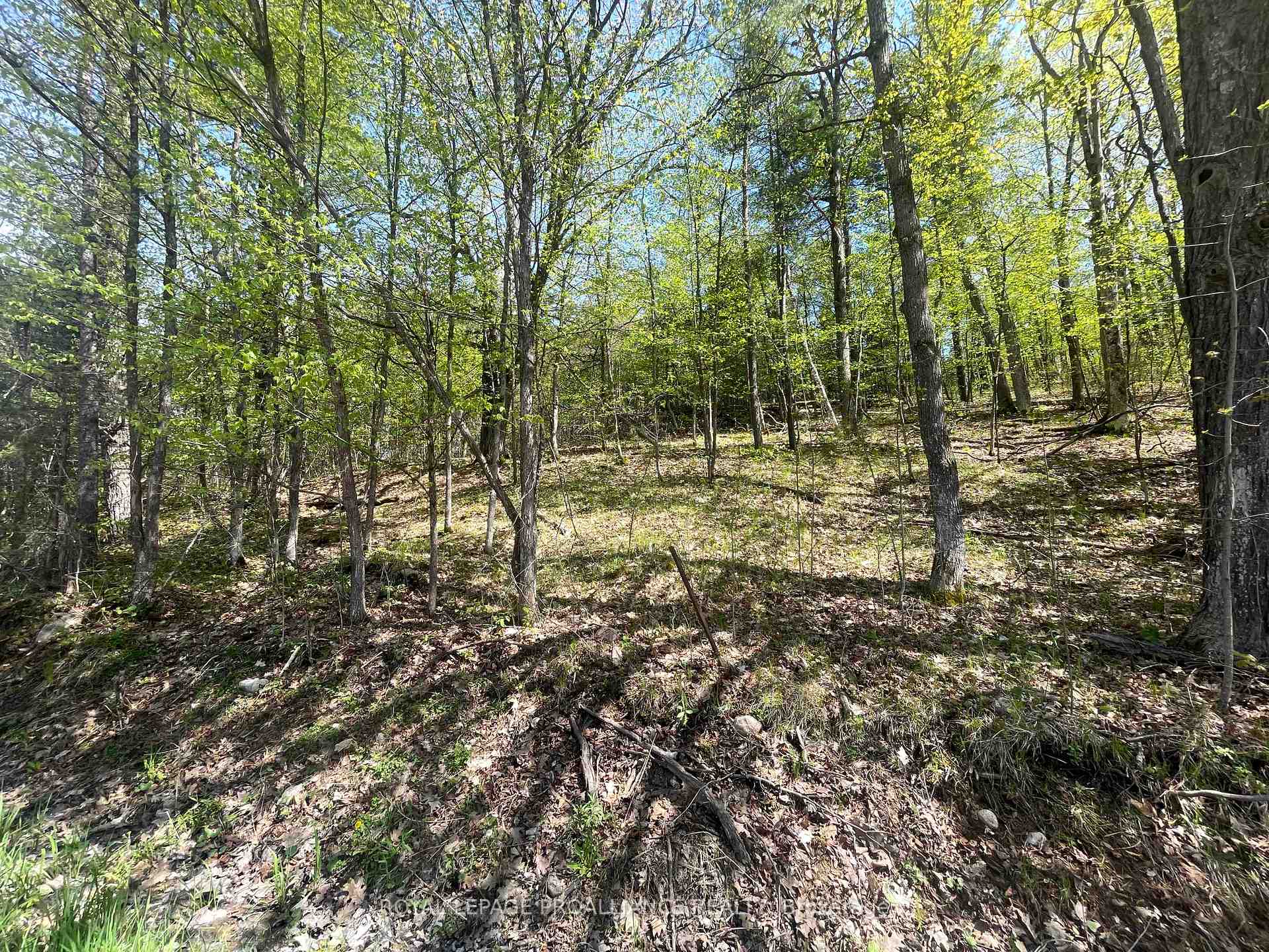 Photo 13 of 430 Beaver Road, Trent Hills, Rural Trent Hills — HOMEH