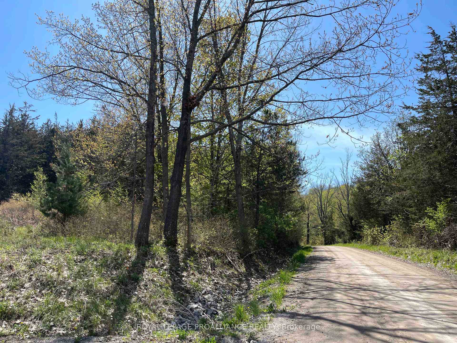 Photo 15 of 430 Beaver Road, Trent Hills, Rural Trent Hills — HOMEH