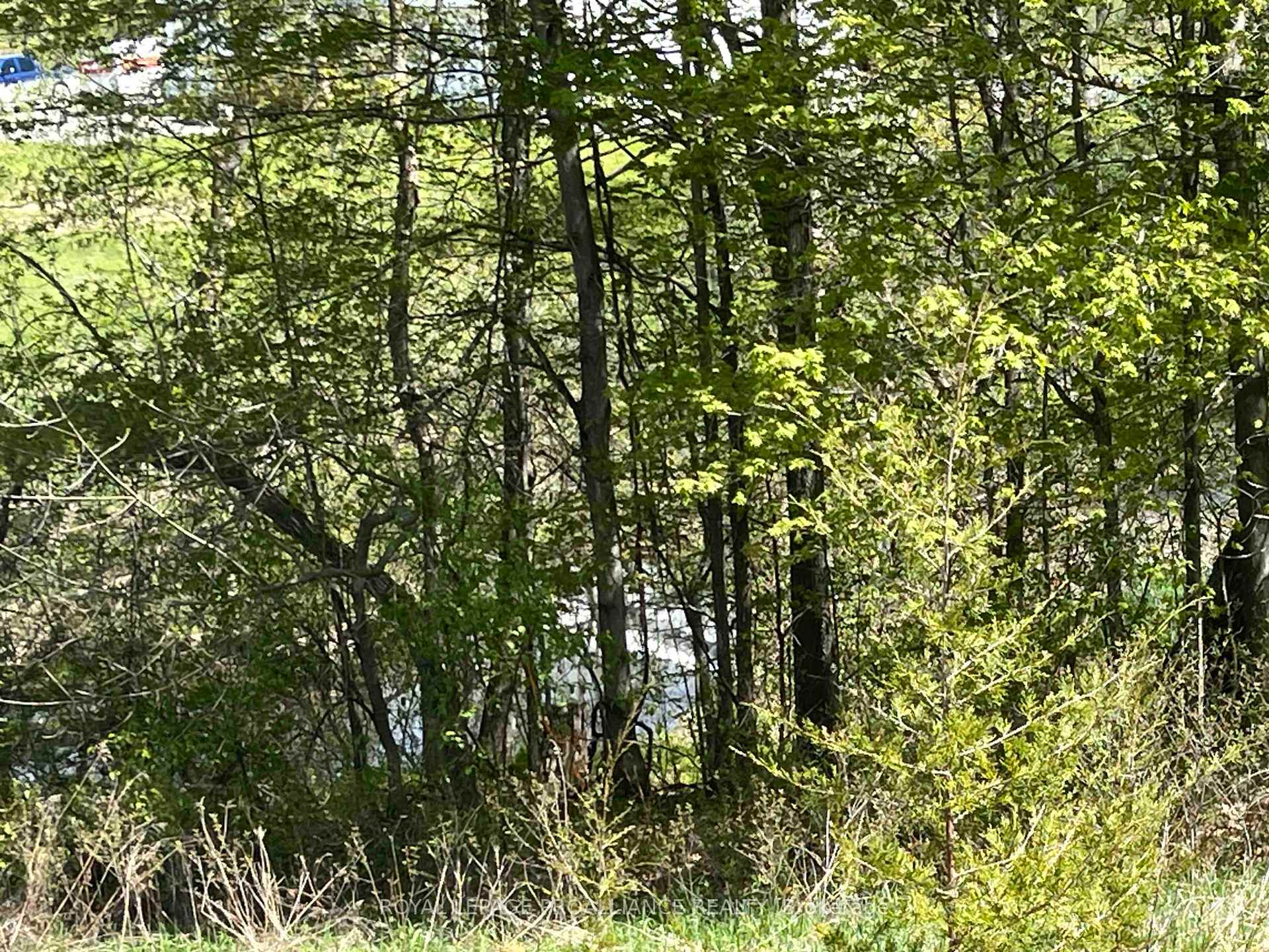 Photo 16 of 430 Beaver Road, Trent Hills, Rural Trent Hills — HOMEH
