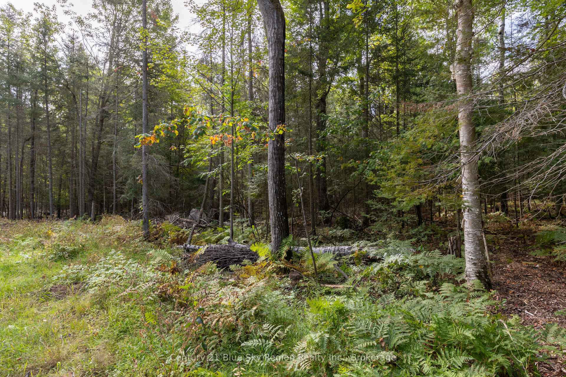 Photo 6 of Pt 1 Lt 19 Ninovan Road, Callander — HOMEH