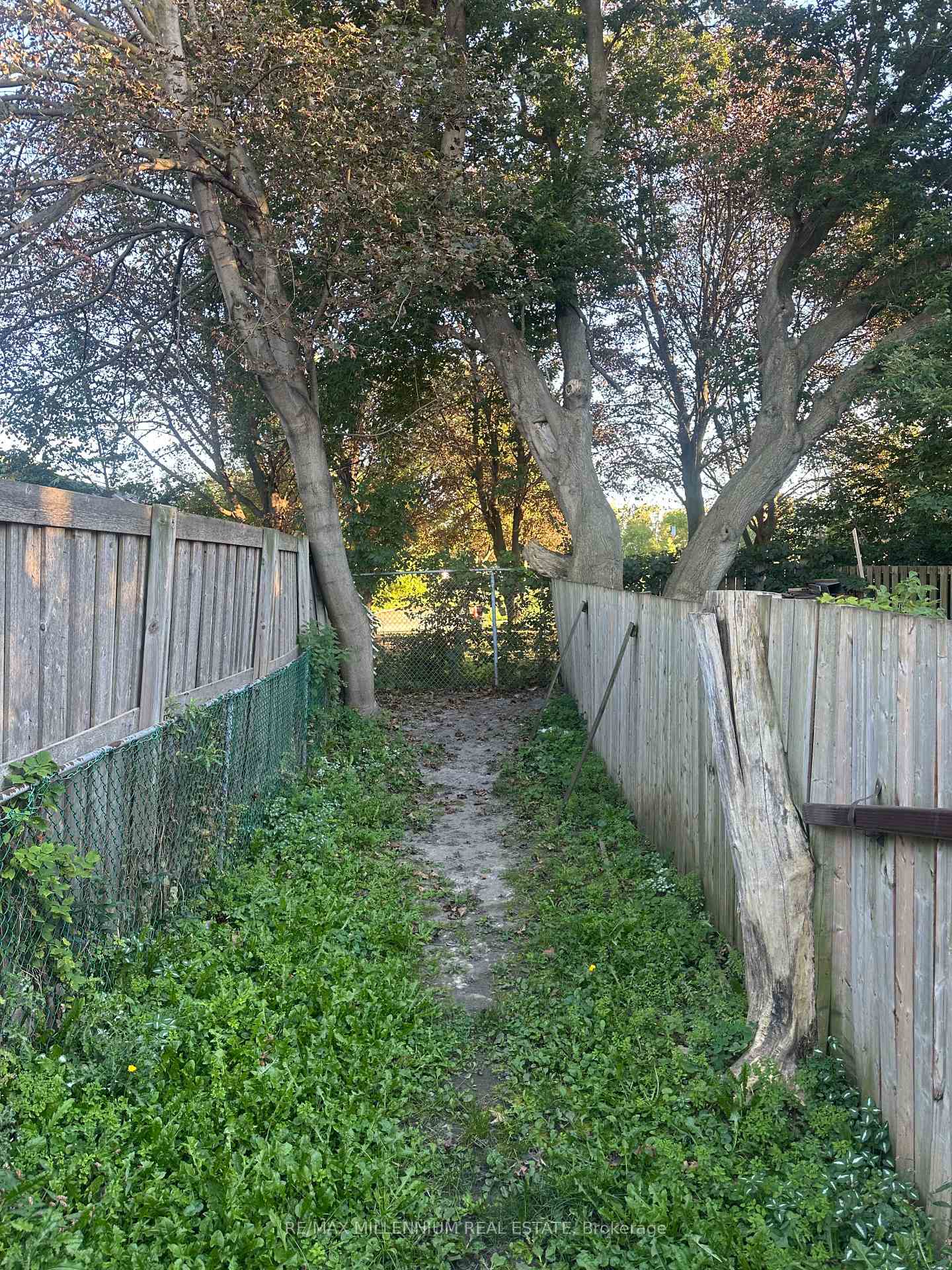 Photo 18 of 167 Olive Avenue, Oshawa, Central — HOMEH