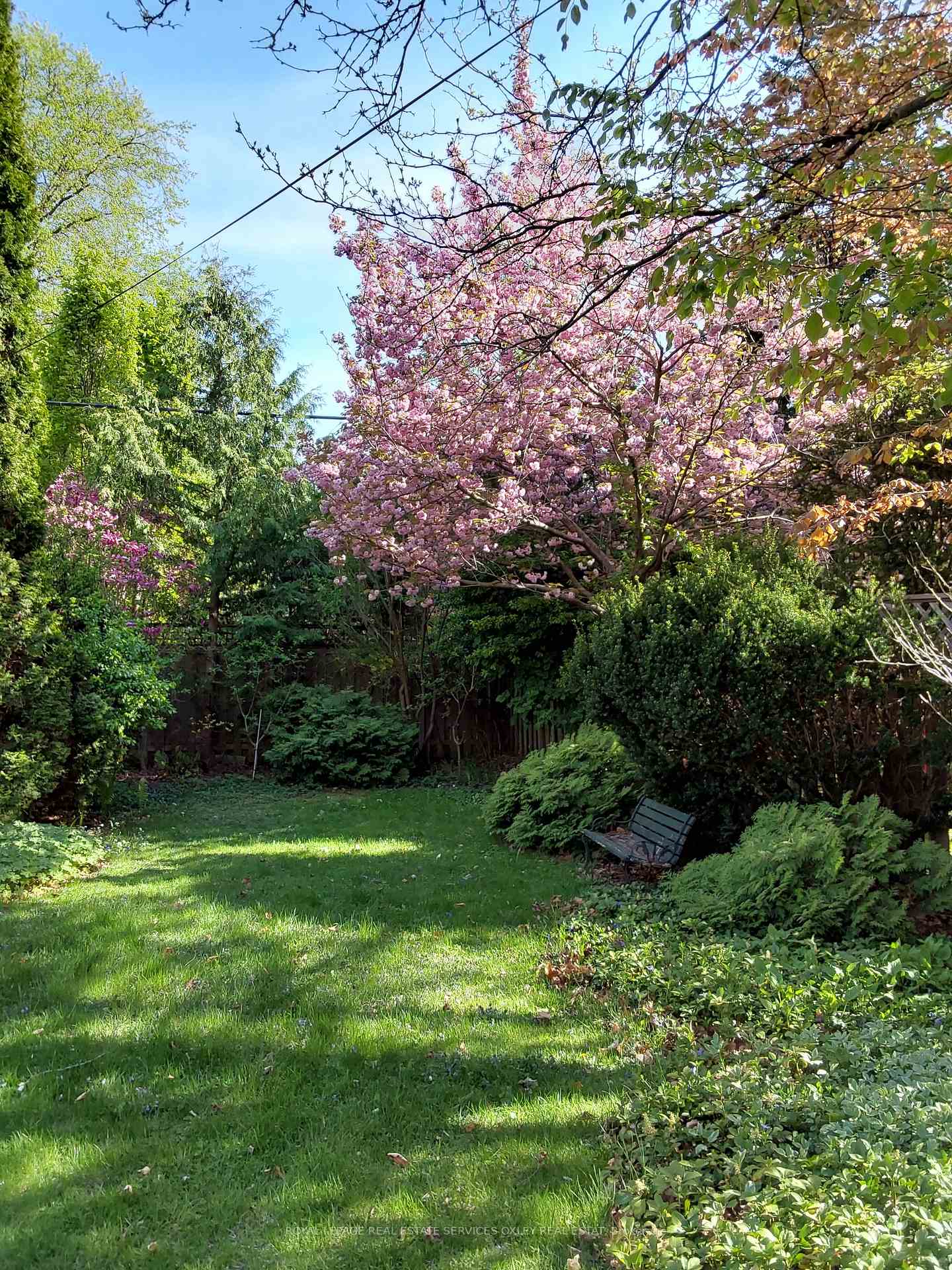Photo 41 of 105 Roxborough Street E, Toronto, Rosedale-Moore Park — HOMEH