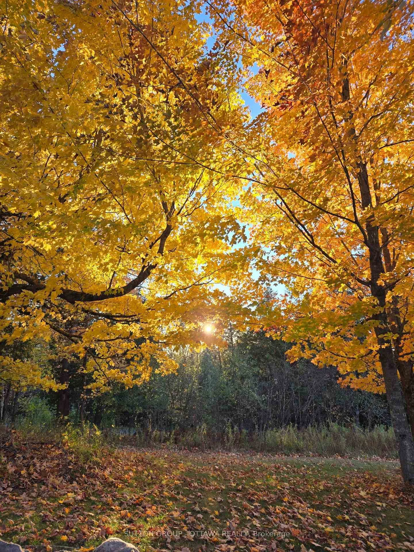 Photo 48 of 610 3rd Concession Dalhousie, Lanark Highlands, Lanark Highlands (Dalhousie) Twp — HOMEH