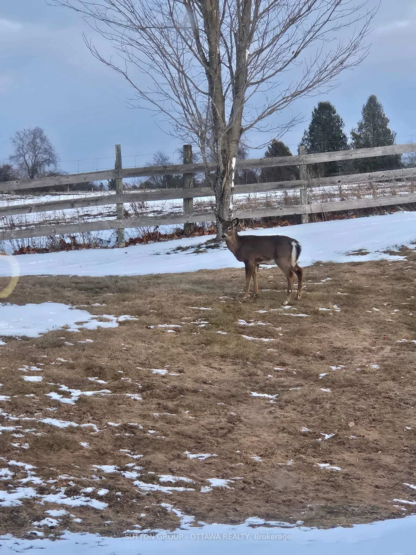 Photo 56 of 610 3rd Concession Dalhousie, Lanark Highlands, Lanark Highlands (Dalhousie) Twp — HOMEH