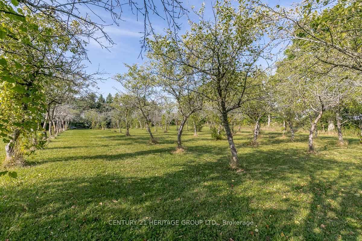 Photo 33 of 3515 Sideroad 10, Bradford West Gwillimbury, Bradford — HOMEH