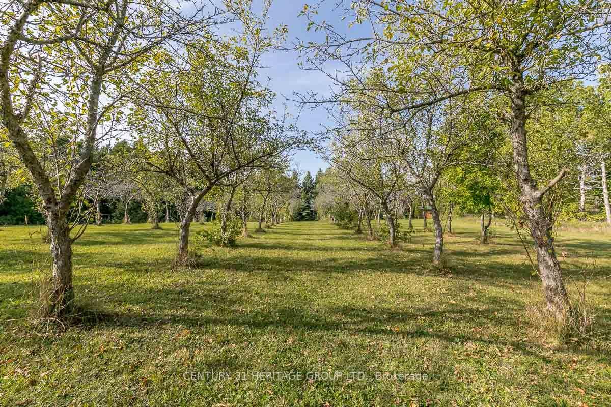 Photo 34 of 3515 Sideroad 10, Bradford West Gwillimbury, Bradford — HOMEH
