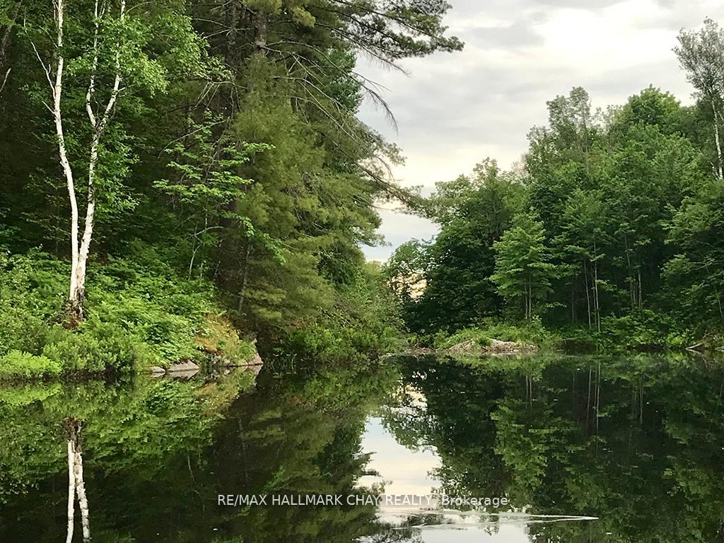 Photo 19 of 1133 Fire Route A1 Street, Gravenhurst, Ryde — HOMEH