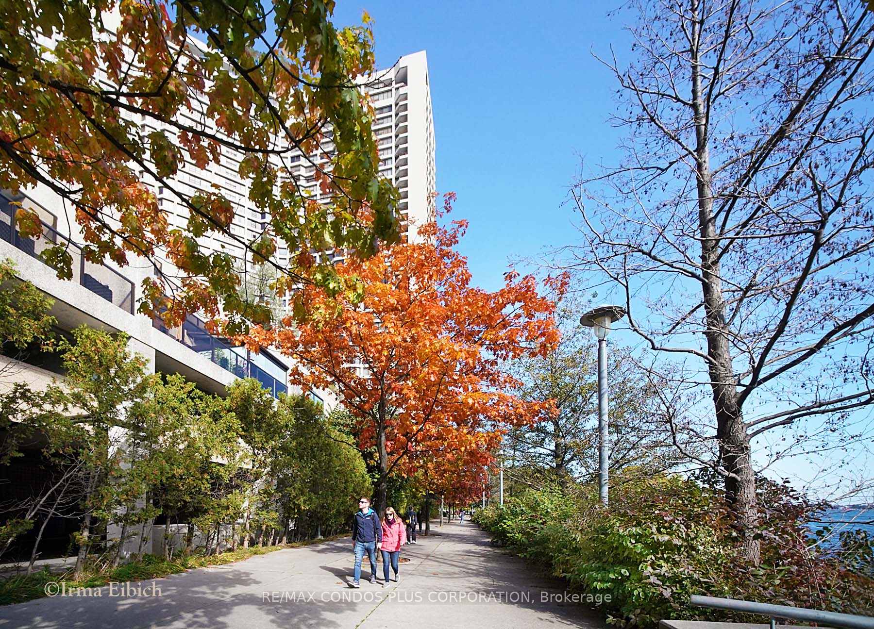 Photo 50 of Unit 3615, 55 Harbour Square, Toronto, Waterfront Communities — HOMEH