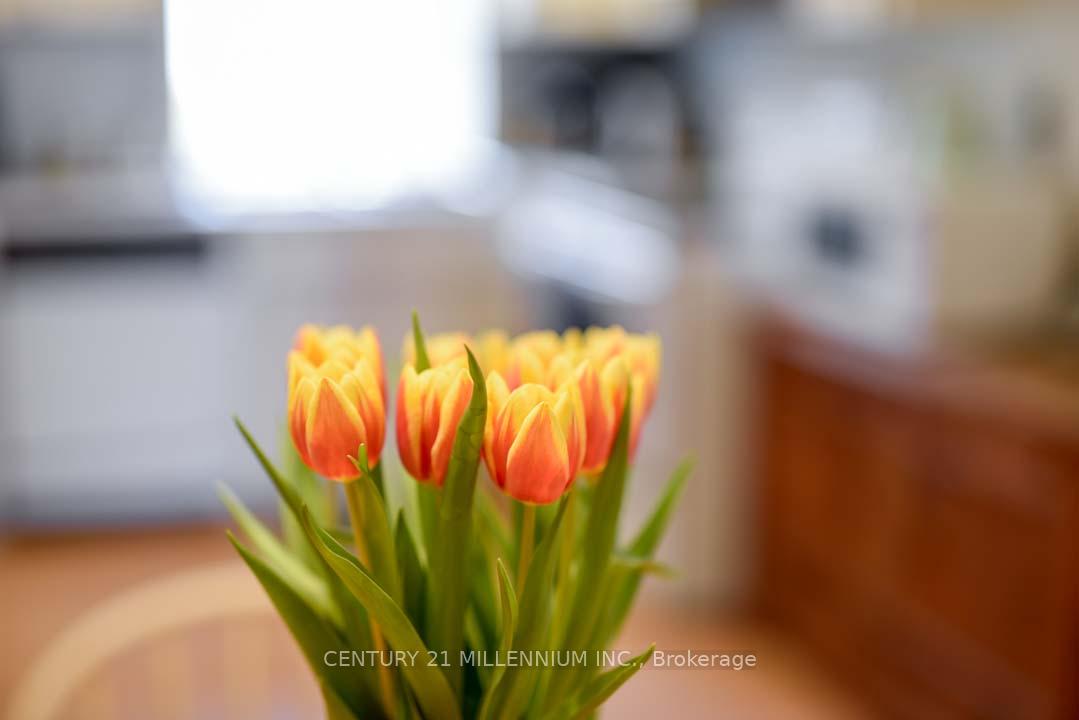Photo 16 of 1380 Queen Street W, Caledon, Rural Caledon — HOMEH