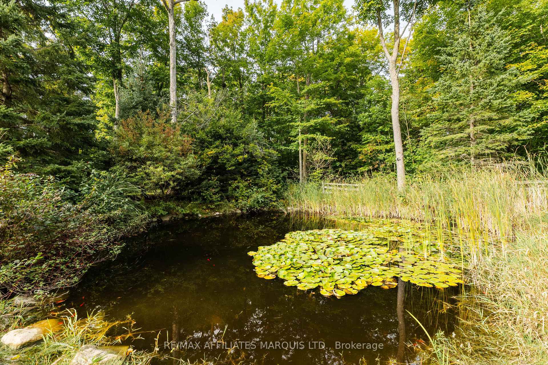 Photo 41 of 3993 Chapel Road, South Glengarry, South Glengarry (Charlottenburgh) Twp — HOMEH