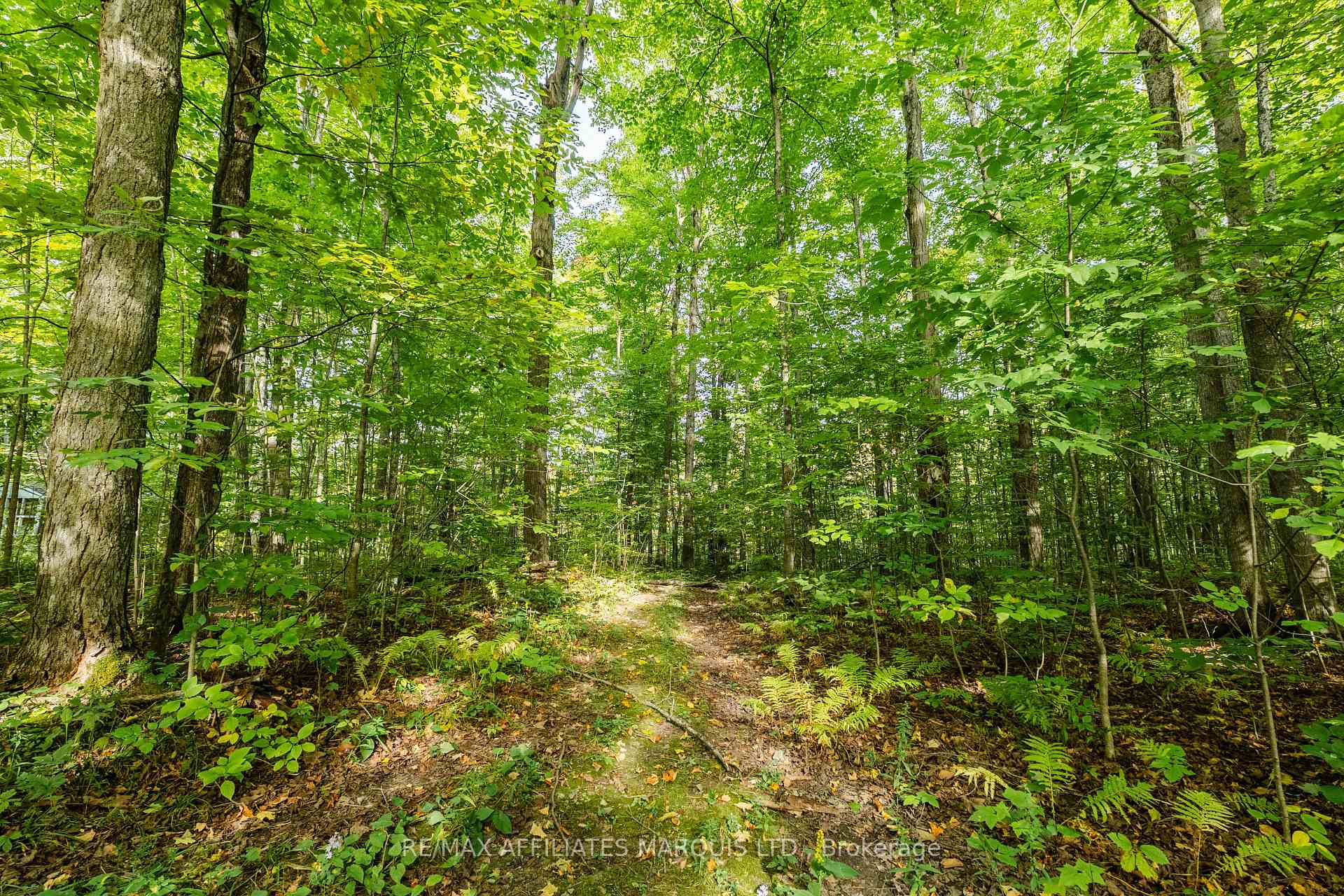 Photo 44 of 3993 Chapel Road, South Glengarry, South Glengarry (Charlottenburgh) Twp — HOMEH