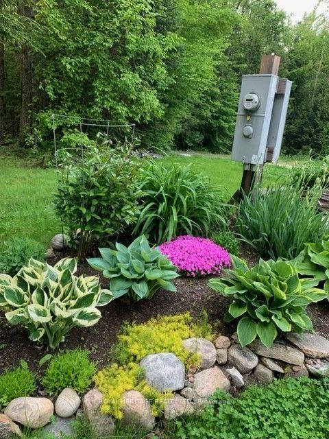 Photo 50 of 1515 Uffington Road, Bracebridge, Draper — HOMEH
