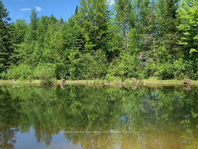 Photo 45 of 57 Rattray Road, Perry — HOMEH