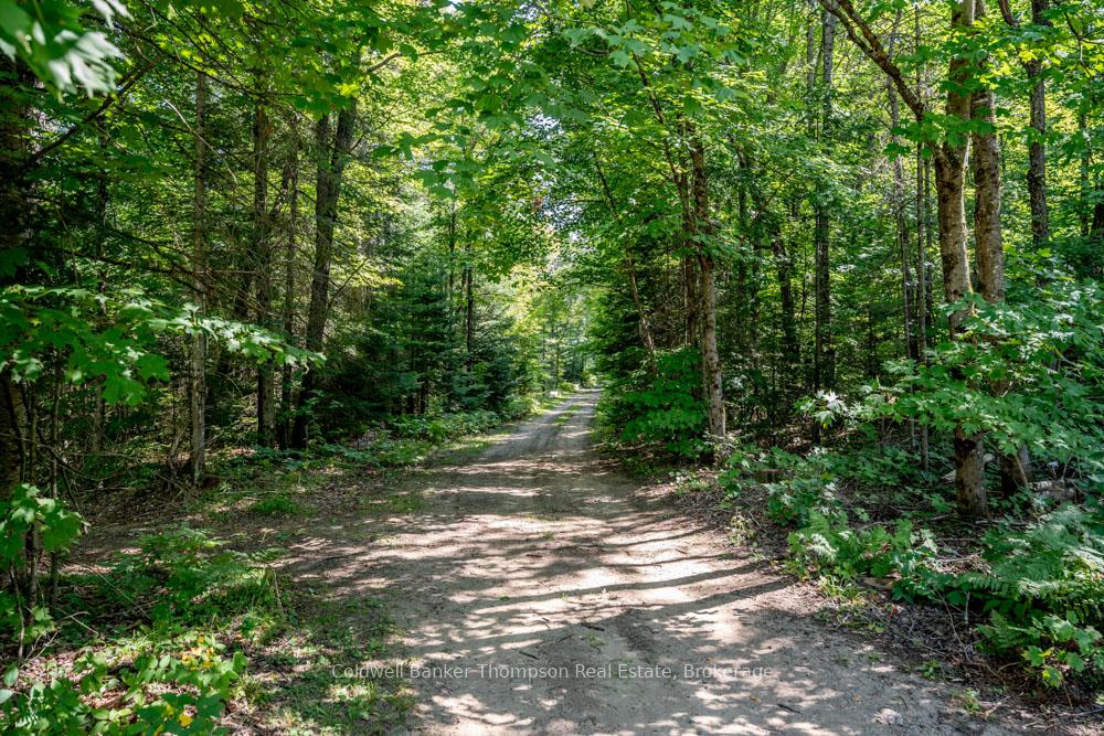 Photo 46 of 57 Rattray Road, Perry — HOMEH