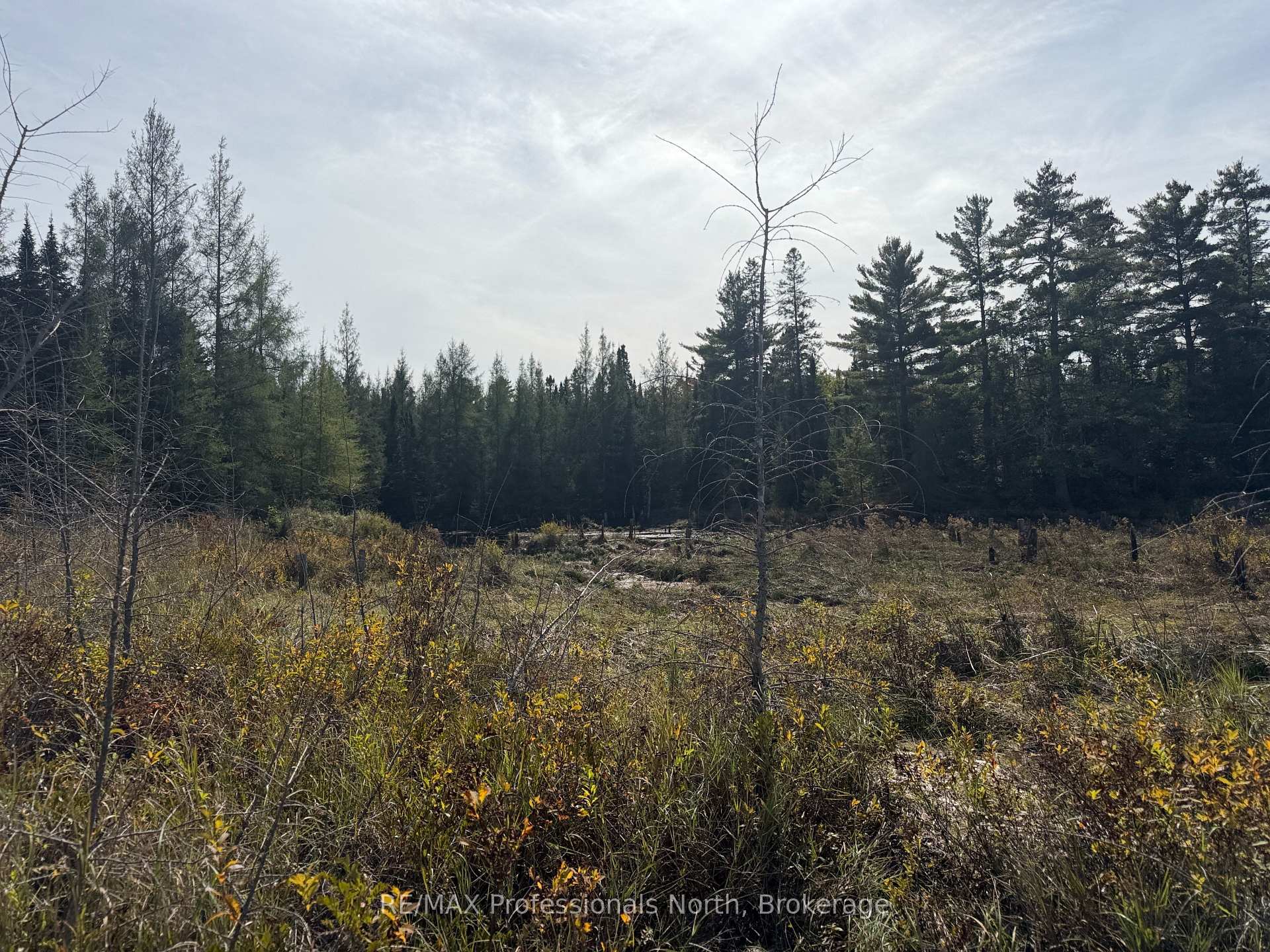 Photo 23 of Stisted Road, McMurrich/Monteith, McMurrich — HOMEH