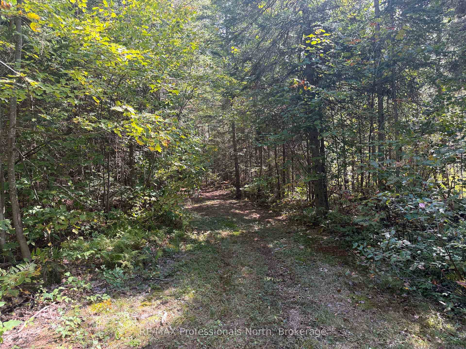 Photo 24 of Stisted Road, McMurrich/Monteith, McMurrich — HOMEH