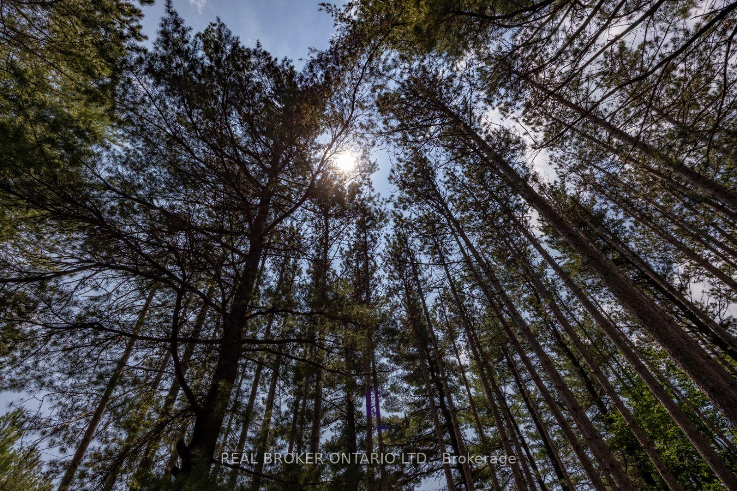 Photo 48 of 25 Sumac Road, Clarington, Rural Clarington — HOMEH