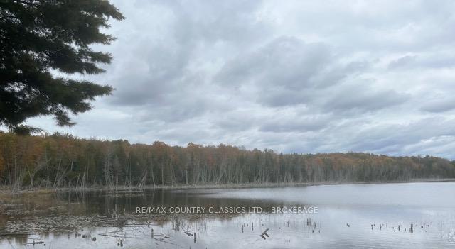 Photo of Lt 1, PL 1839 Bull Lake Road