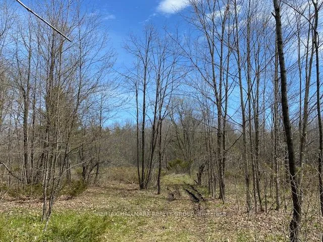Photo 2 of Moran Road, Rideau Lakes, Rideau Lakes (South Elmsley) Twp — HOMEH