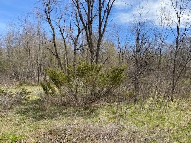Photo 4 of Moran Road, Rideau Lakes, Rideau Lakes (South Elmsley) Twp — HOMEH