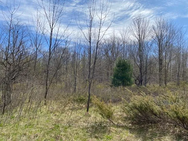 Photo 5 of Moran Road, Rideau Lakes, Rideau Lakes (South Elmsley) Twp — HOMEH