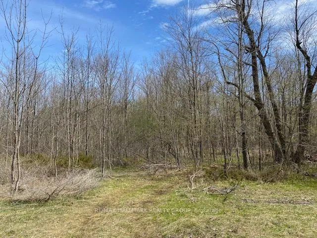 Photo 6 of Moran Road, Rideau Lakes, Rideau Lakes (South Elmsley) Twp — HOMEH