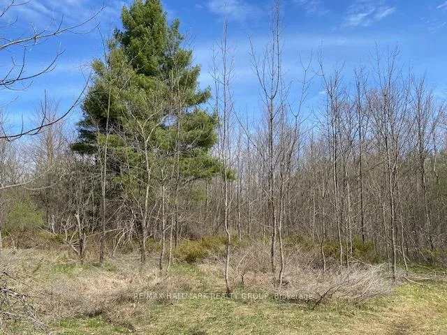 Photo 7 of Moran Road, Rideau Lakes, Rideau Lakes (South Elmsley) Twp — HOMEH