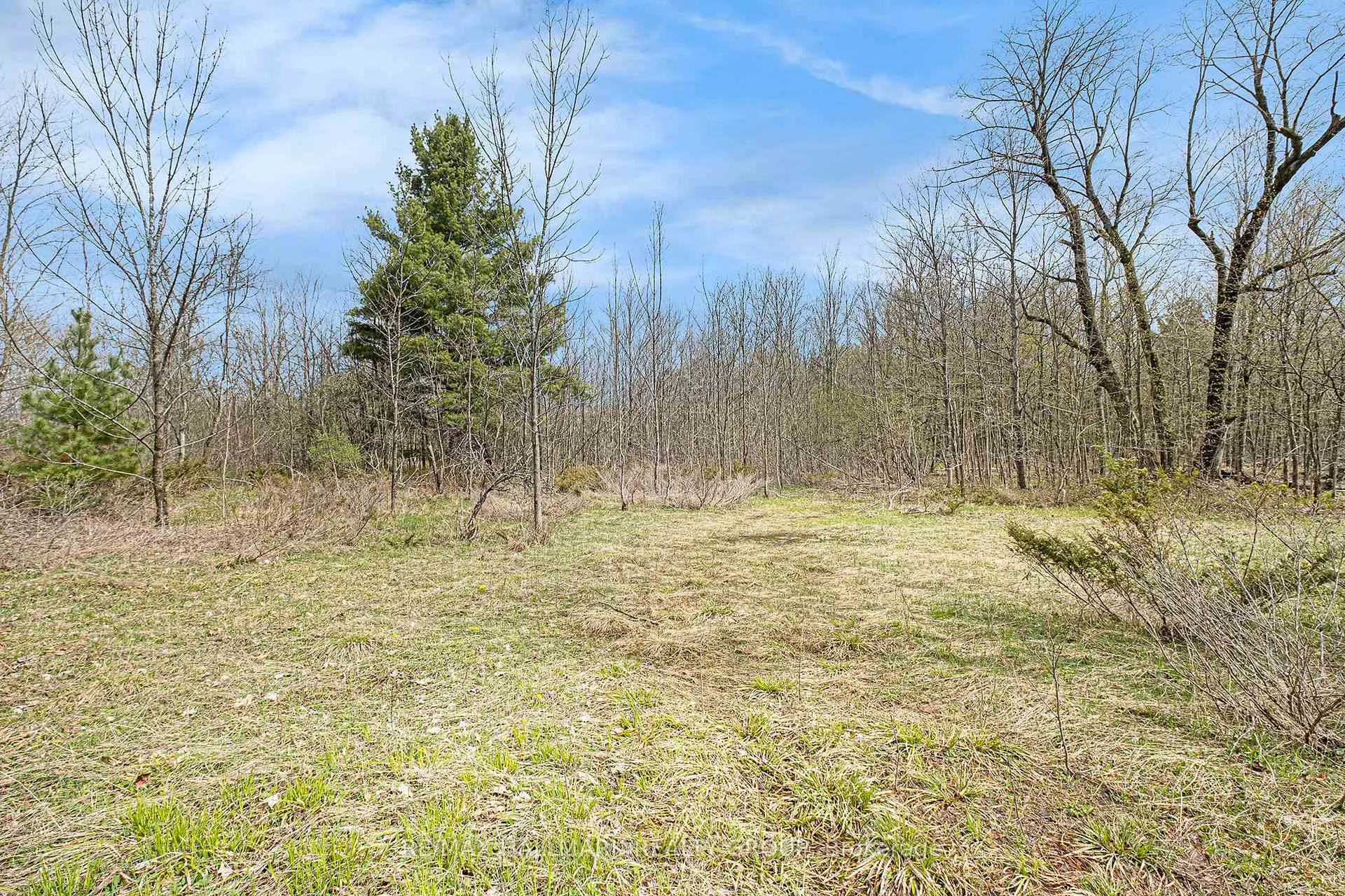 Photo 8 of Moran Road, Rideau Lakes, Rideau Lakes (South Elmsley) Twp — HOMEH