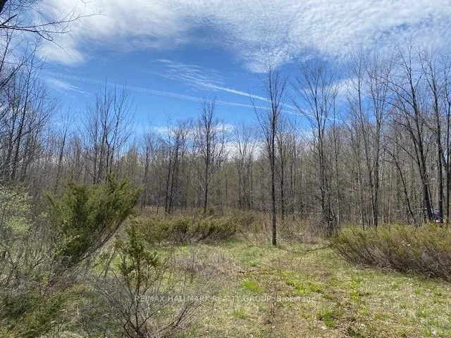 Photo 9 of Moran Road, Rideau Lakes, Rideau Lakes (South Elmsley) Twp — HOMEH