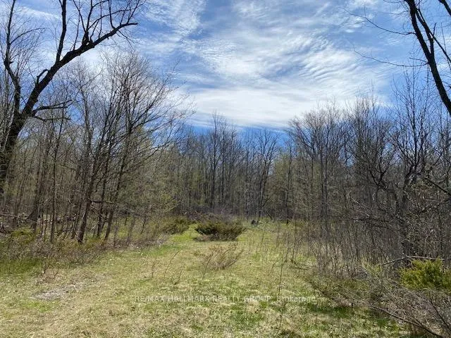 Photo 10 of Moran Road, Rideau Lakes, Rideau Lakes (South Elmsley) Twp — HOMEH