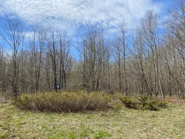 Photo 11 of Moran Road, Rideau Lakes, Rideau Lakes (South Elmsley) Twp — HOMEH