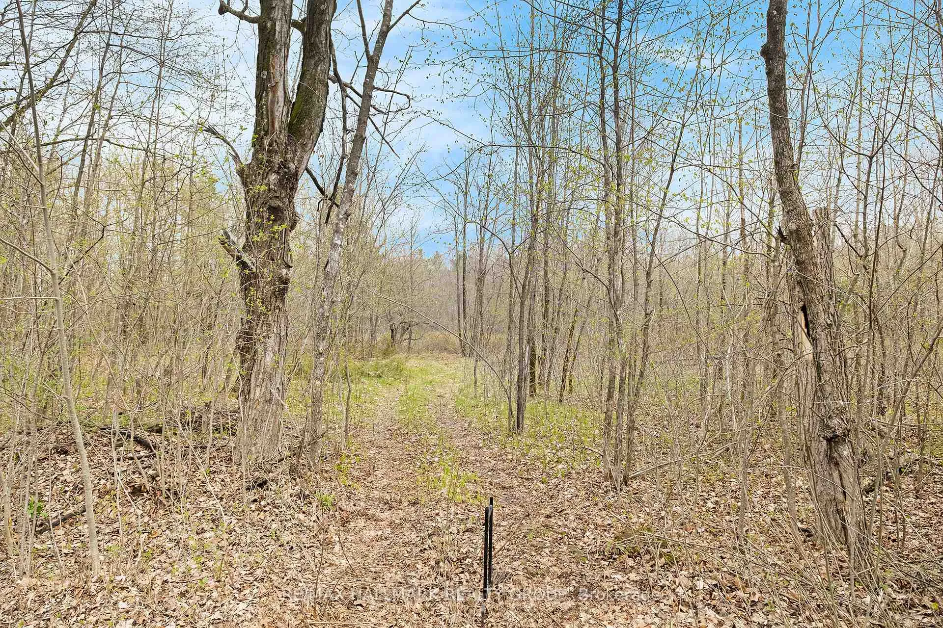 Photo 12 of Moran Road, Rideau Lakes, Rideau Lakes (South Elmsley) Twp — HOMEH