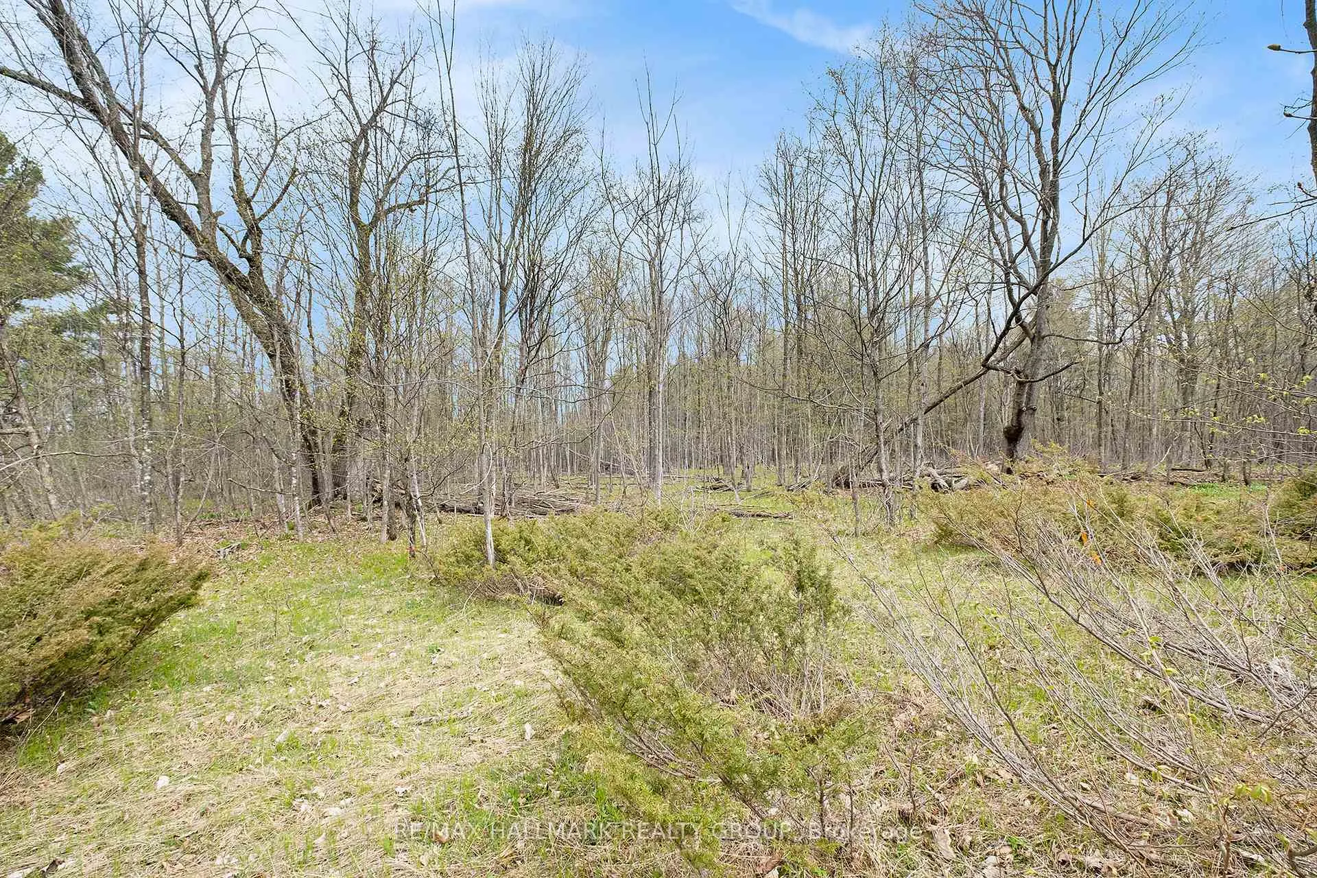 Photo 13 of Moran Road, Rideau Lakes, Rideau Lakes (South Elmsley) Twp — HOMEH