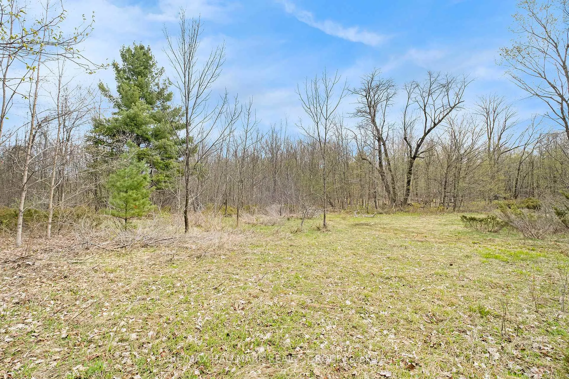 Photo 14 of Moran Road, Rideau Lakes, Rideau Lakes (South Elmsley) Twp — HOMEH