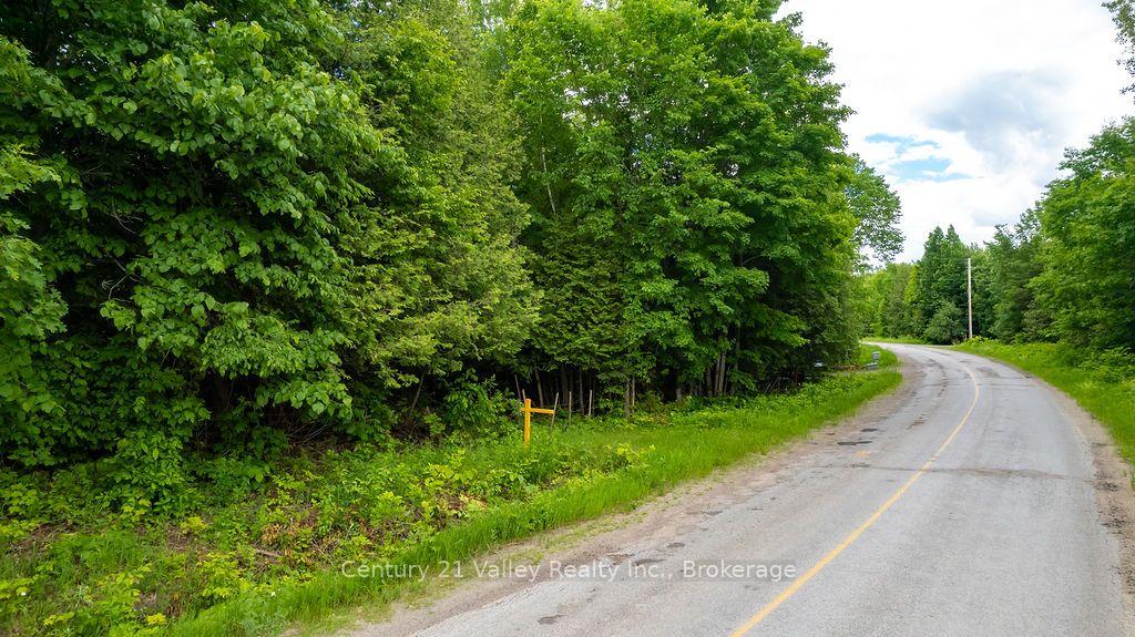 Photo of 1148 Mt St Patrick Road