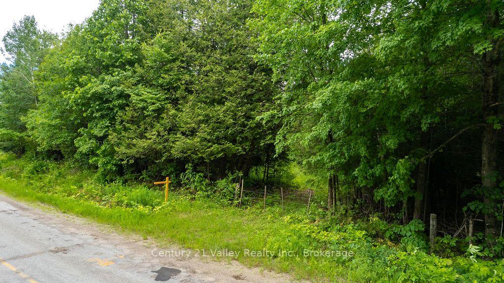 Photo 2 of 1148 Mt St Patrick Road, Admaston/Bromley, Admaston/Bromley — HOMEH