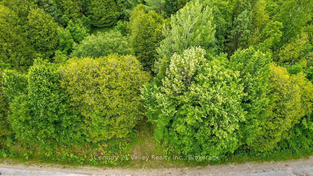 Photo 3 of 1148 Mt St Patrick Road, Admaston/Bromley, Admaston/Bromley — HOMEH