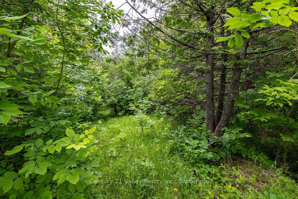 Photo 4 of 1148 Mt St Patrick Road, Admaston/Bromley, Admaston/Bromley — HOMEH