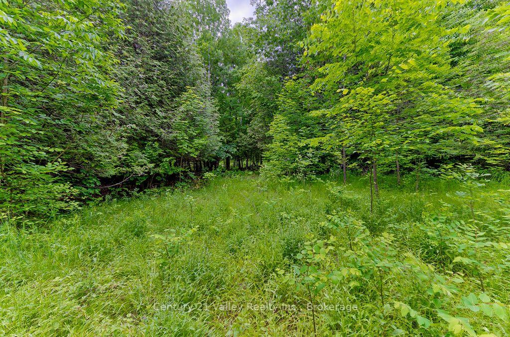 Photo 5 of 1148 Mt St Patrick Road, Admaston/Bromley, Admaston/Bromley — HOMEH