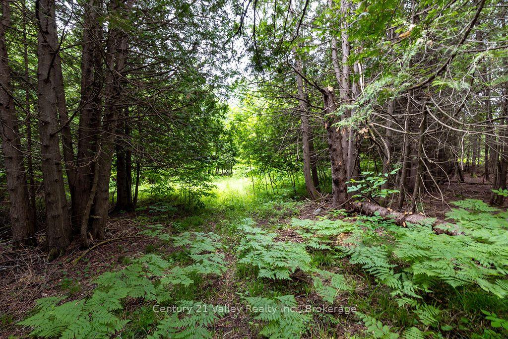Photo 6 of 1148 Mt St Patrick Road, Admaston/Bromley, Admaston/Bromley — HOMEH