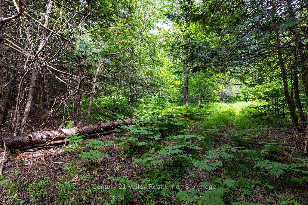 Photo 8 of 1148 Mt St Patrick Road, Admaston/Bromley, Admaston/Bromley — HOMEH
