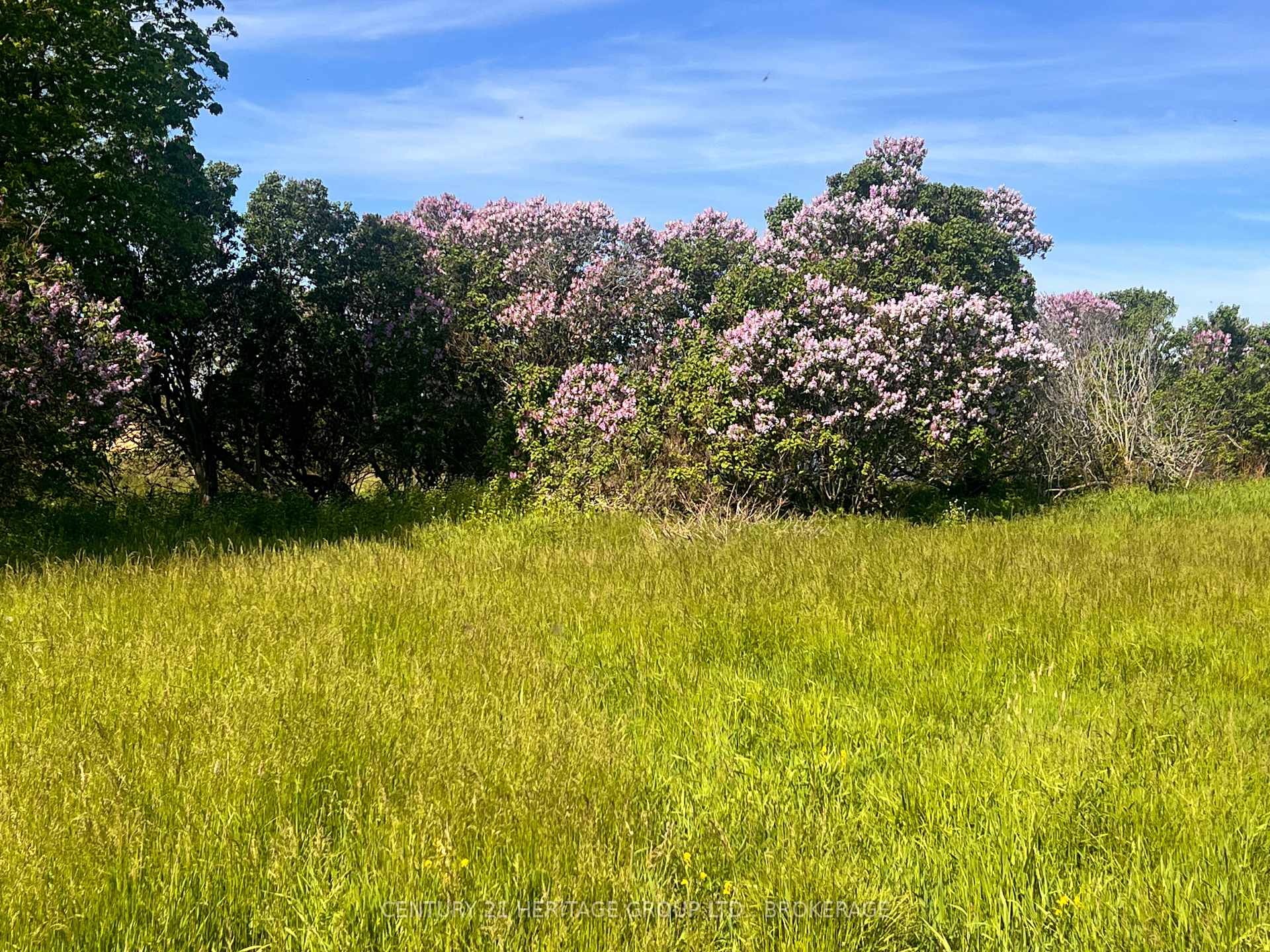 Photo 7 of LOT 17 South Shore Road, Loyalist, Amherst Island — HOMEH