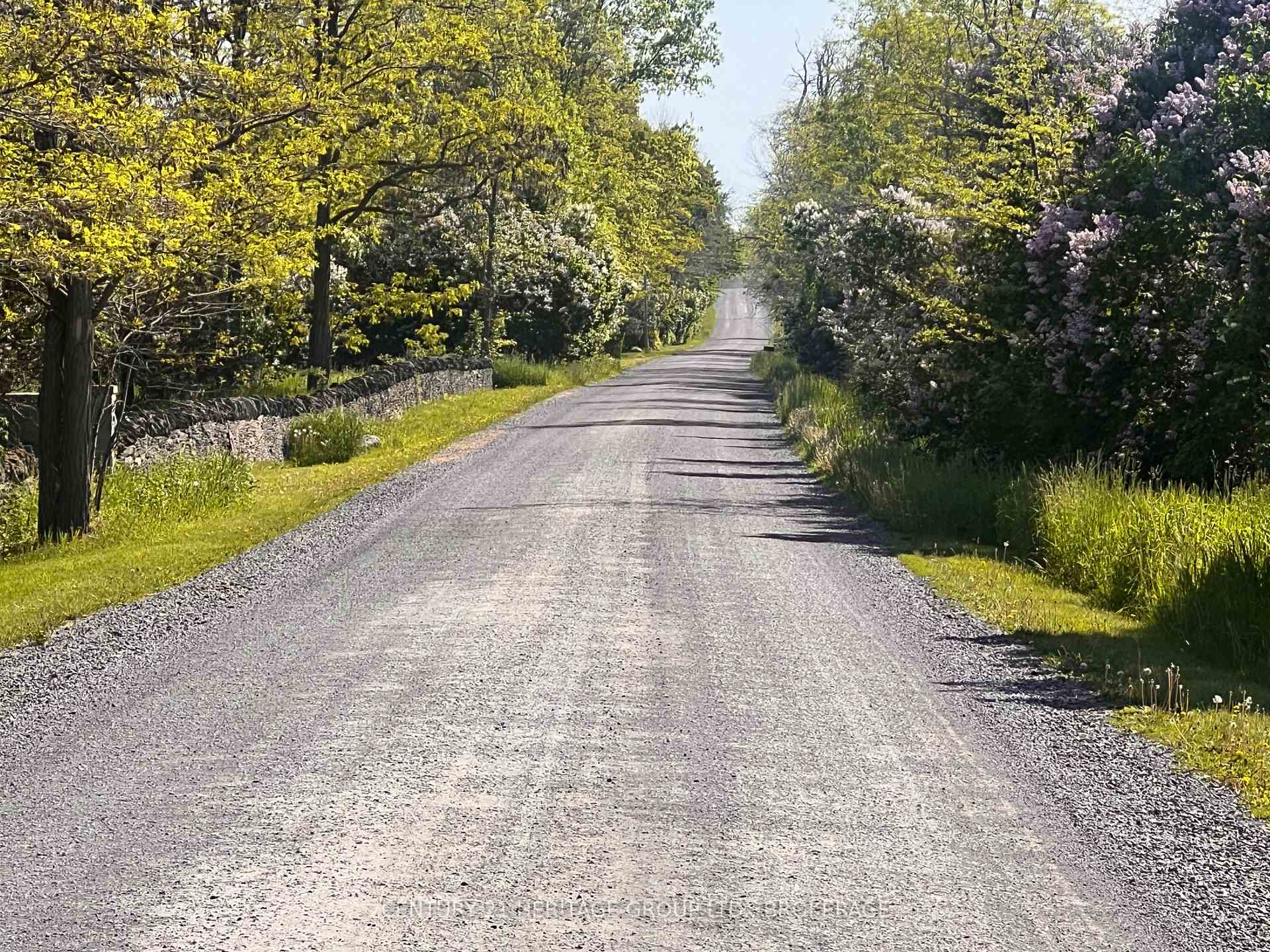 Photo 10 of LOT 17 South Shore Road, Loyalist, Amherst Island — HOMEH