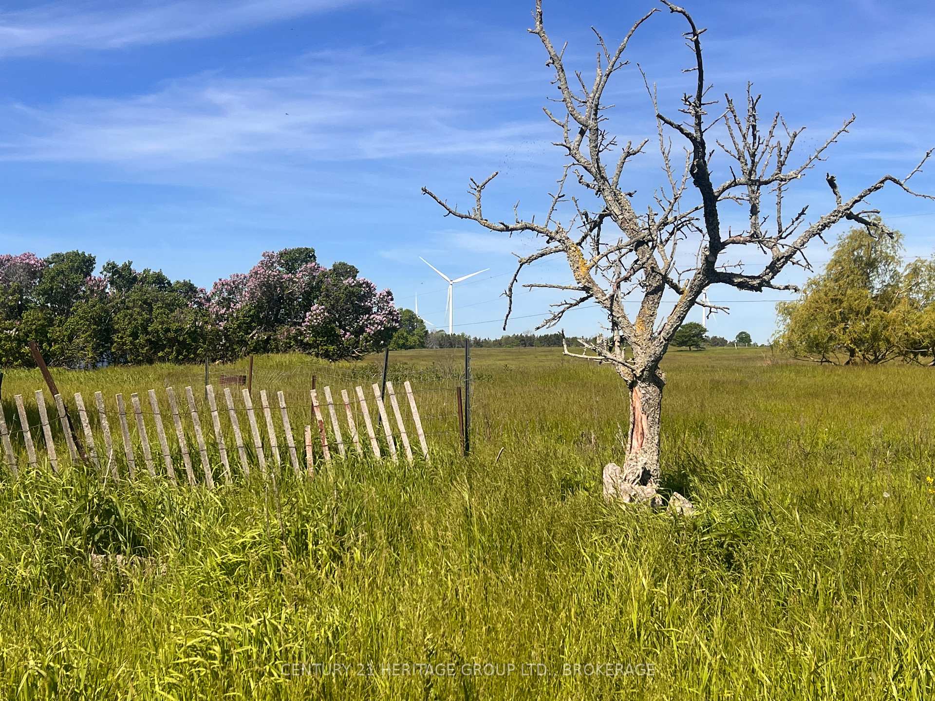 Photo 11 of LOT 17 South Shore Road, Loyalist, Amherst Island — HOMEH