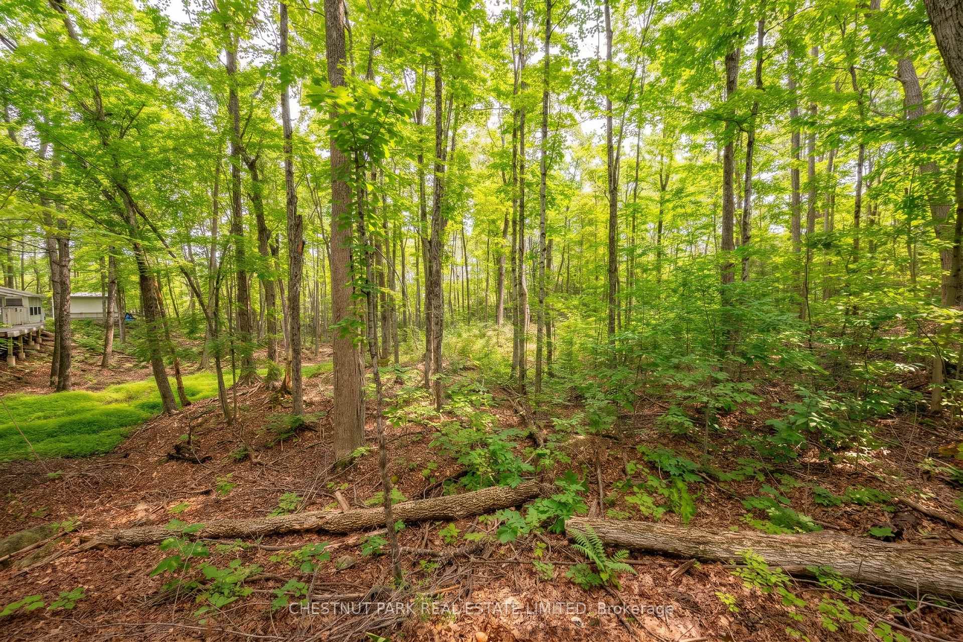 Photo 11 of 110 Fire Route 367, Trent Lakes — HOMEH