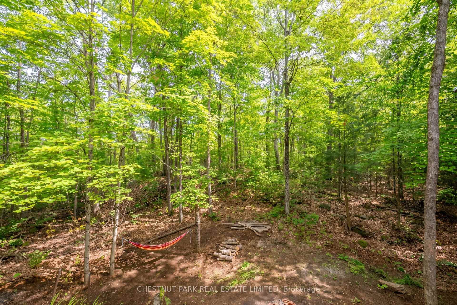 Photo 44 of 110 Fire Route 367, Trent Lakes — HOMEH
