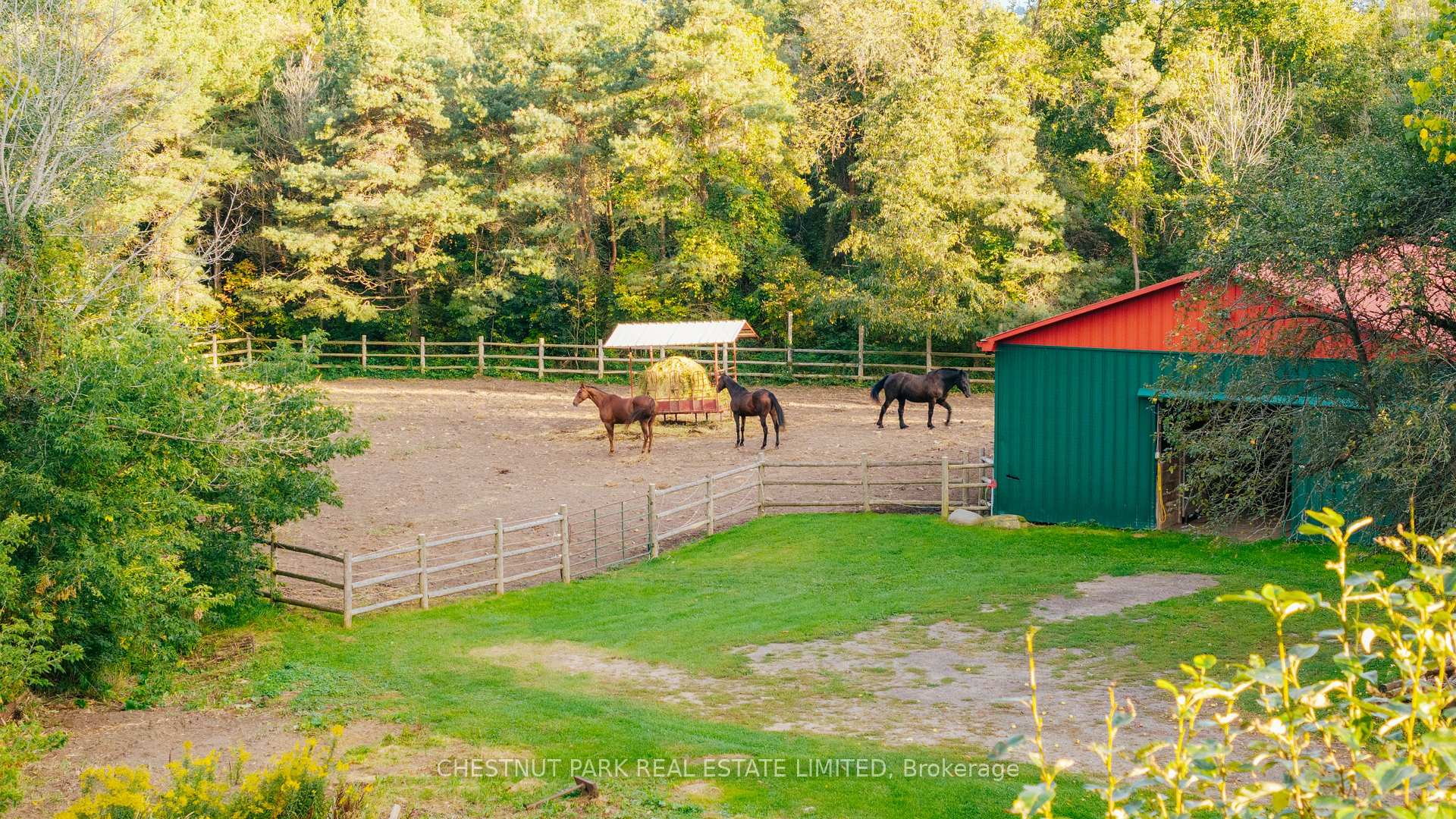 Photo 30 of 798227 Third Line E, Mulmur, Rural Mulmur — HOMEH