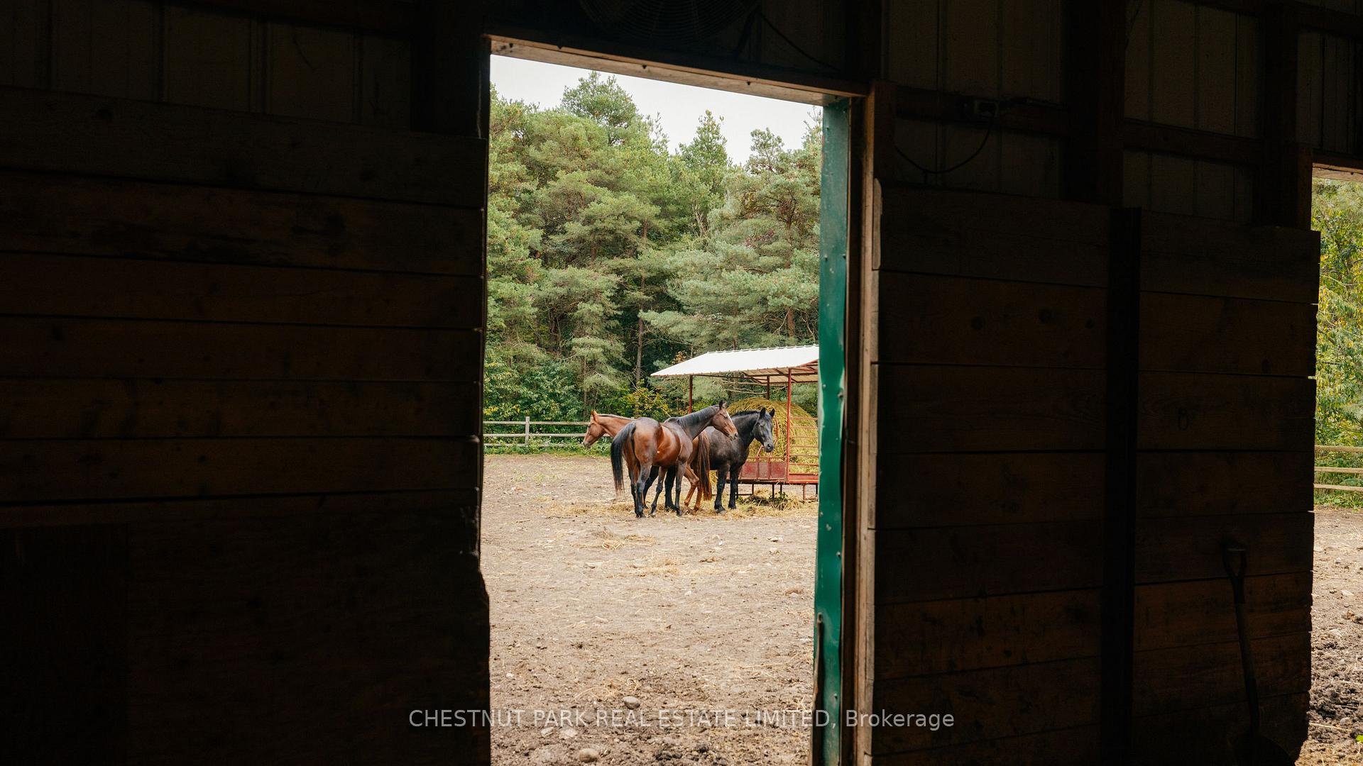 Photo 33 of 798227 Third Line E, Mulmur, Rural Mulmur — HOMEH