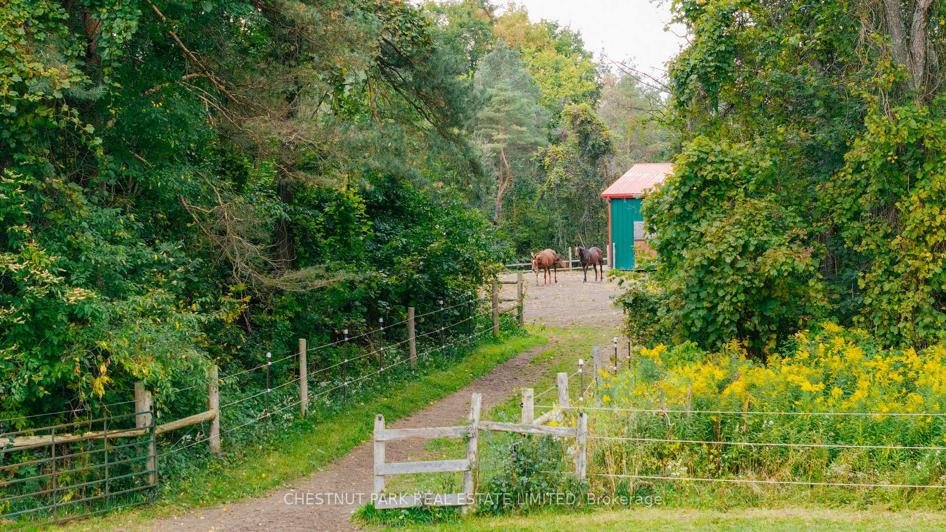Photo 36 of 798227 Third Line E, Mulmur, Rural Mulmur — HOMEH